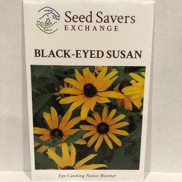 Black-Eyed Susan - Prairie Native (Rudebckia Hirta)